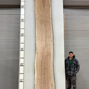 Live Edge Pecan Wood Slab - Back PE-704-05