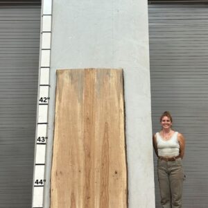 Live Edge Pecan Wood Slab - Front PE-Glue Up-032-01