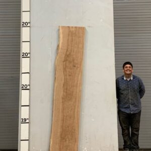 Live Edge Pecan Wood Slab - Front PE-082-01