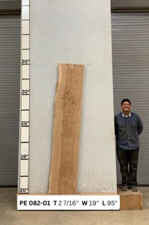 Live Edge Pecan Wood Slab - Front PE-082-01