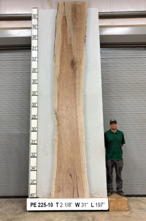 Live Edge Pecan Wood Slab - Front PE-225-10