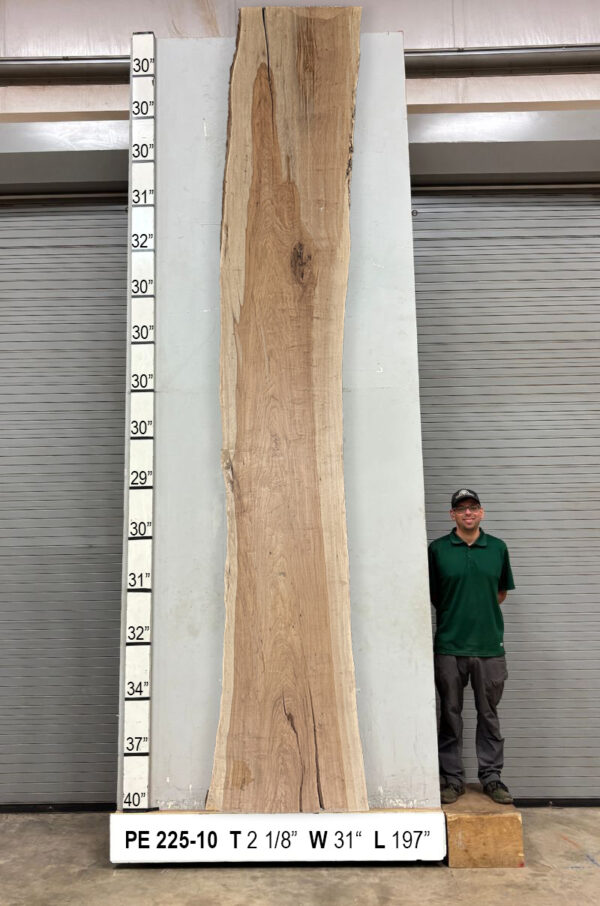 Live Edge Pecan Wood Slab - Front PE-225-10