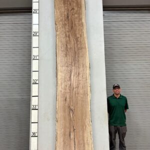Live Edge Pecan Wood Slab - Front PE-704-03