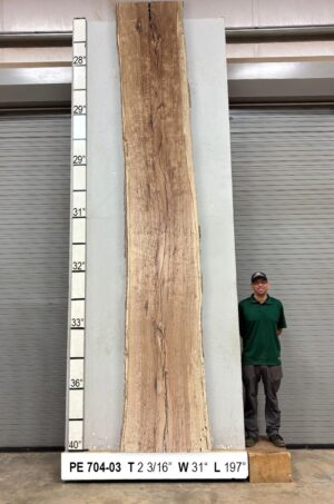 Live Edge Pecan Wood Slab - Front PE-704-03