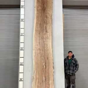 Live Edge Pecan Wood Slab - Front PE-704-04