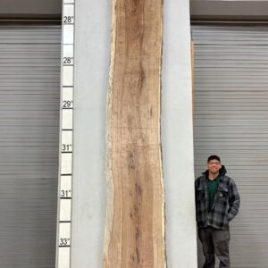 Live Edge Pecan Wood Slab - Front PE-704-05