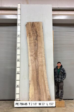 Live Edge Pecan Wood Slab - Front PE-750-05