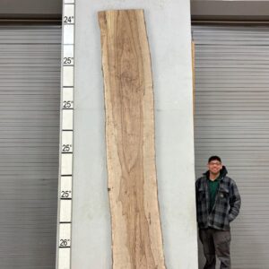 Live Edge Pecan Wood Slab - Front PE-750-08