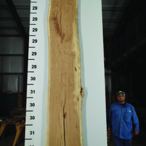 Live Edge Pecan Wood Slab - Front PE-684-04