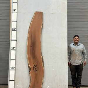 Live Edge Mesquite Wood Slab - Back ME-309-01