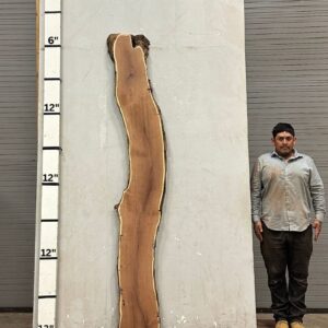 Live Edge Mesquite Wood Slab - Front ME-310-01