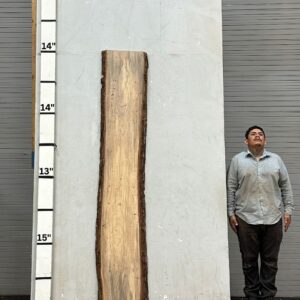 Live Edge Pecan Wood Slab - Back PE-019-01