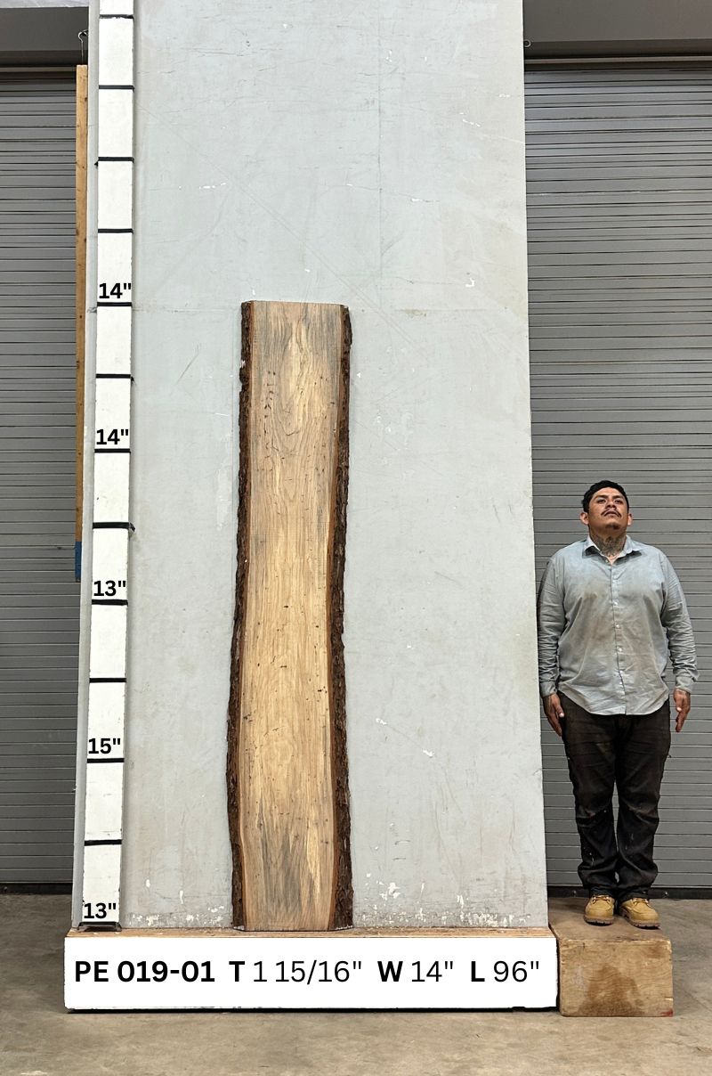 Live Edge Pecan Wood Slab - Back PE-019-01