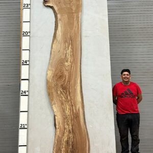 Live Edge Pecan Wood Slab - Back PE-139-01
