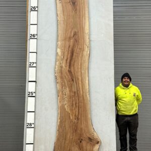 Live Edge Pecan Wood Slab - Back PE-139-05