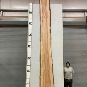 Live Edge Pecan Wood Slab - Back PE-500-06