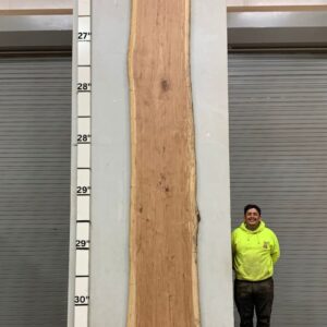 Live Edge Pecan Wood Slab - Back PE-684-05