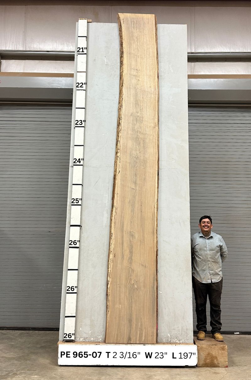 Live Edge Pecan Slab PE 965-07 - Image 2