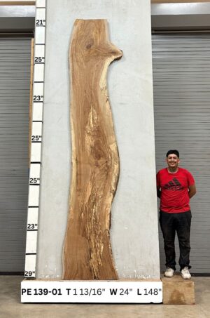Live Edge Pecan Wood Slab - Front PE-139-01