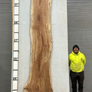 Live Edge Pecan Wood Slab - Front PE-139-05