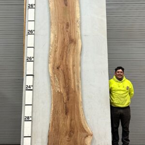 Live Edge Pecan Wood Slab - Front PE-139-06