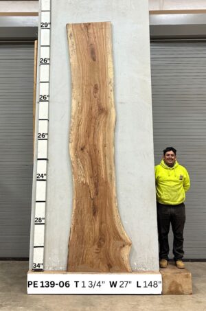 Live Edge Pecan Wood Slab - Front PE-139-06