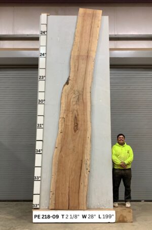 Live Edge Pecan Wood Slab - Front PE-218-09