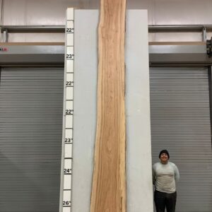 Live Edge Pecan Wood Slab - Front PE-500-06
