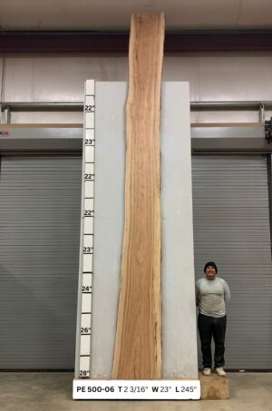 Live Edge Pecan Wood Slab - Front PE-500-06