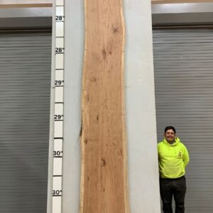 Live Edge Pecan Wood Slab - Front PE-684-05