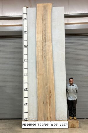 Live Edge Pecan Wood Slab - Front PE-965-07