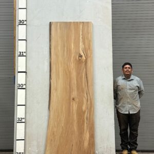 Live Edge Sycamore Wood Slab - Back SY-202-01