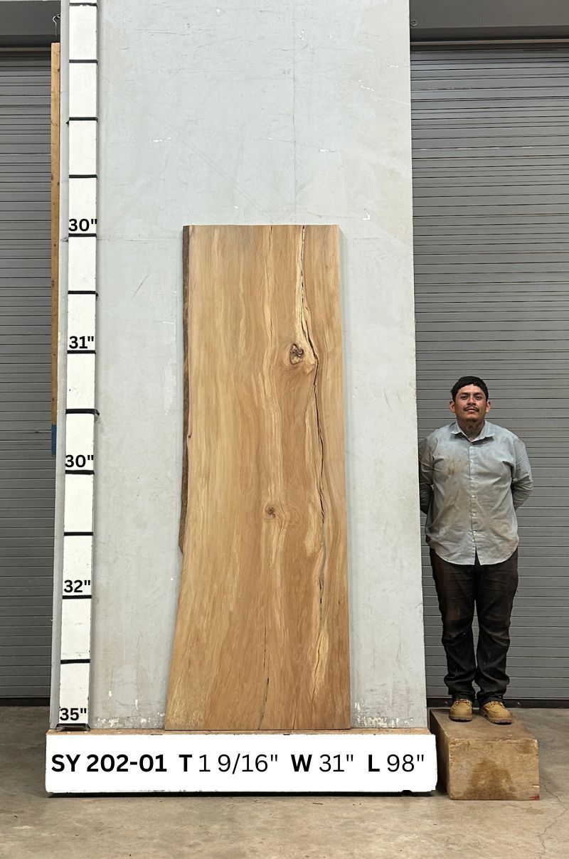 Live Edge Sycamore Wood Slab - Back SY-202-01