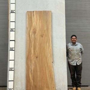 Live Edge Sycamore Wood Slab - Front SY-202-01