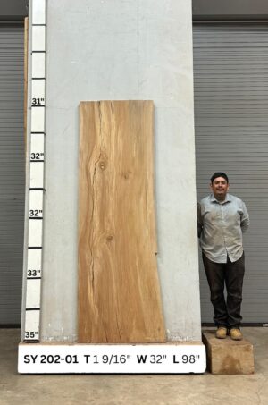 Live Edge Sycamore Wood Slab - Front SY-202-01