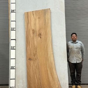 Live Edge Sycamore Wood Slab - Front SY-203-01
