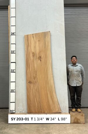 Live Edge Sycamore Wood Slab - Front SY-203-01