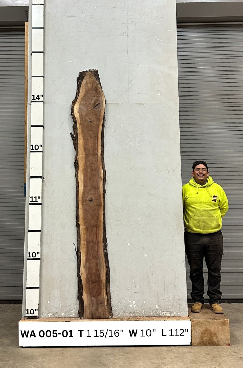Live Edge Walnut Wood Slab - Back WA-005-01