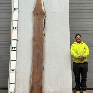 Live Edge Walnut Wood Slab - Front WA-005-01