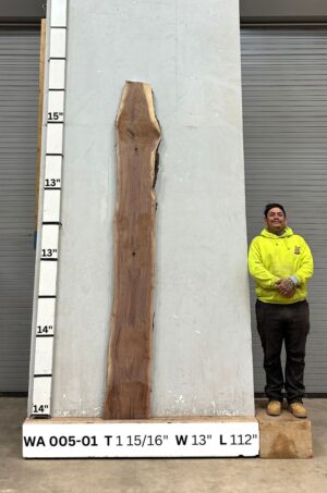 Live Edge Walnut Wood Slab - Front WA-005-01