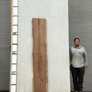 Live Edge Walnut Wood Slab - Front WA-006-01