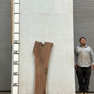 Live Edge Walnut Wood Slab - Front WA-020-01