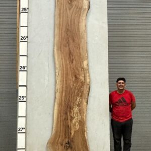 Live Edge Pecan Wood Slab - Front PE-139-04