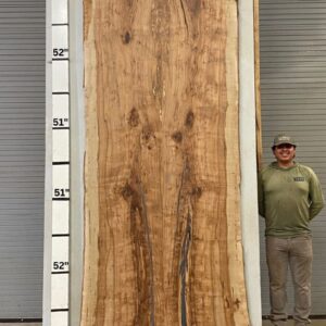 Live Edge Pecan Wood Slab - Front - PE 750-0304