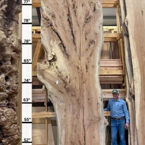 Live Edge Pecan Wood Slab - Front PE-906-04