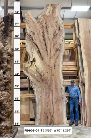 Live Edge Pecan Wood Slab - Front PE-906-04