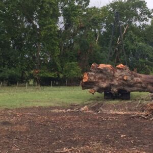 Live Edge Pecan Wood Slab - Guy PE-906-04