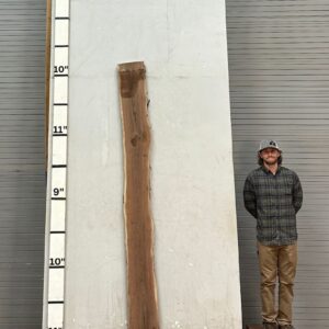 Live Edge Walnut Wood Slab - Front WA-021-01