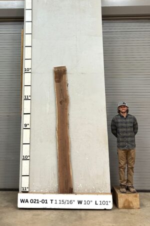 Live Edge Walnut Wood Slab - Front WA-021-01