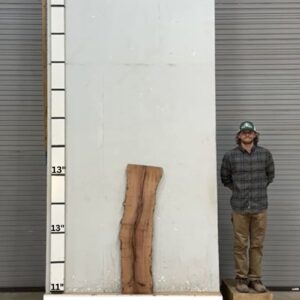 Live Edge Mesquite Wood Slab Front- ME-314-01